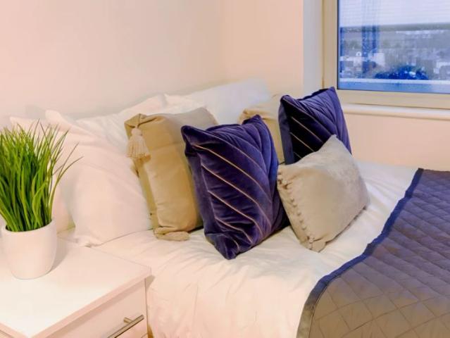 Apartment for rent in St Ann's, Haddon
