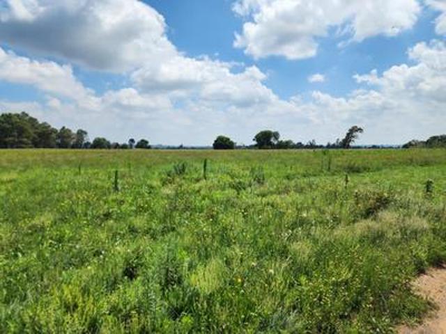 Land for sale in Oranjeville, Free State