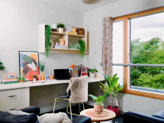 Studio for rent in Somers Town, Greater London