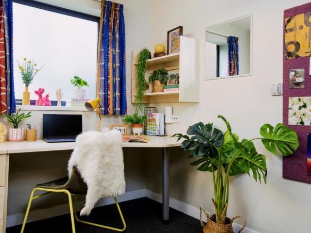 Studio for rent in Lansdowne, Springbourne