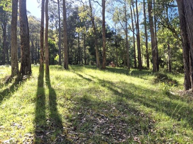 Land for sale in Camerons Creek, Victoria