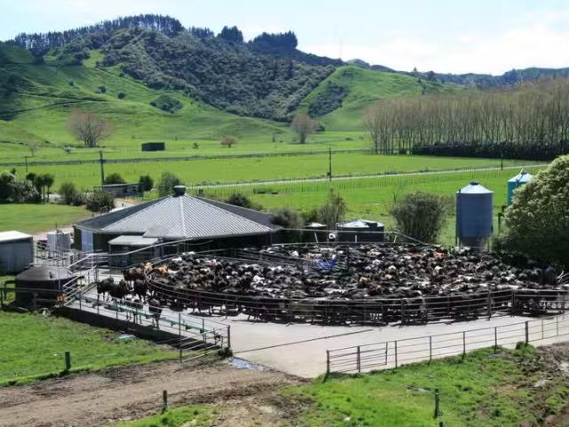House for rent in Douglas, Taranaki