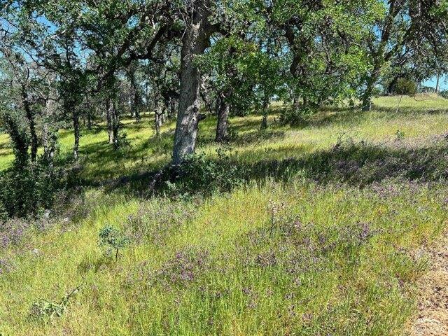 Land for sale in Corning