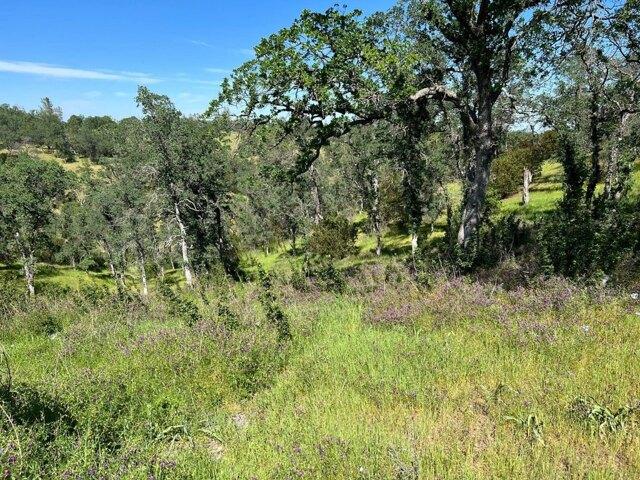 Land for sale in Corning Land for sale in Corning