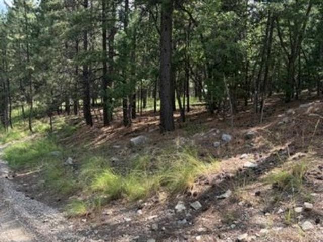 Land for sale in Mayhill, New Mexico