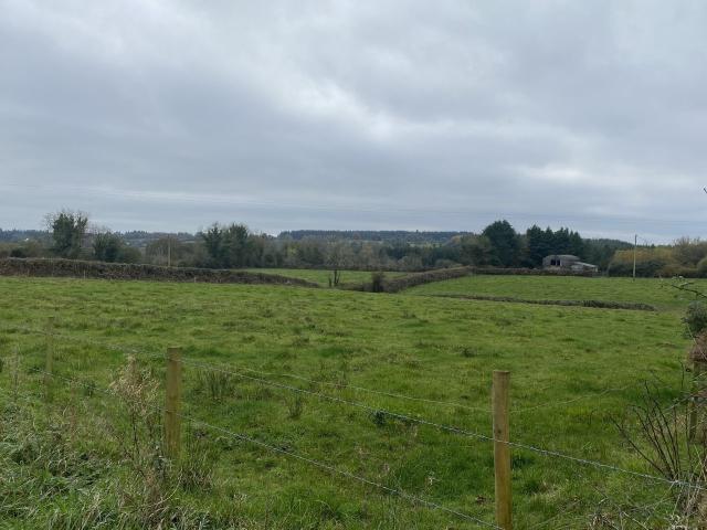 Farm for sale in Granard