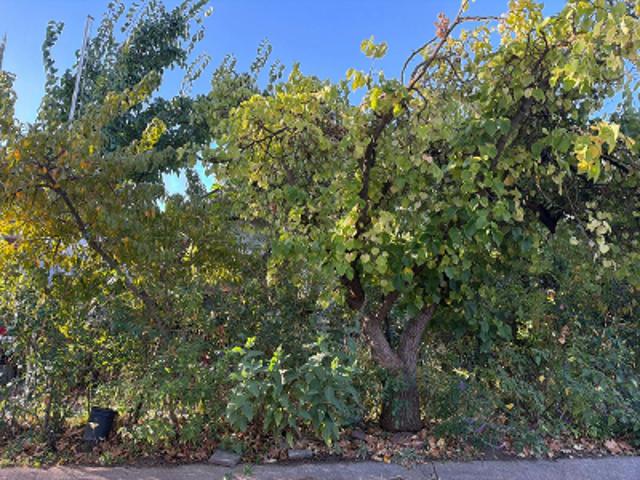 House for sale in Curtis Park, Sacramento