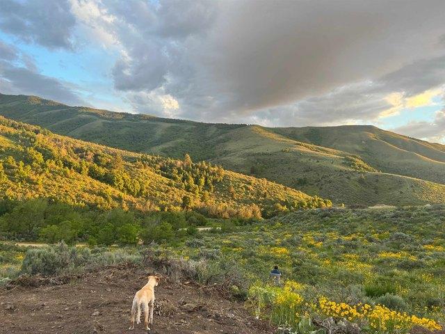 Land for sale in Bannock, Idaho