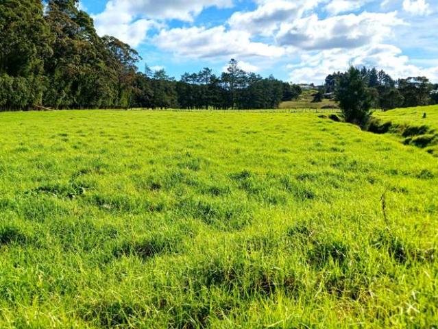 Property for sale in Fairburn, Northland