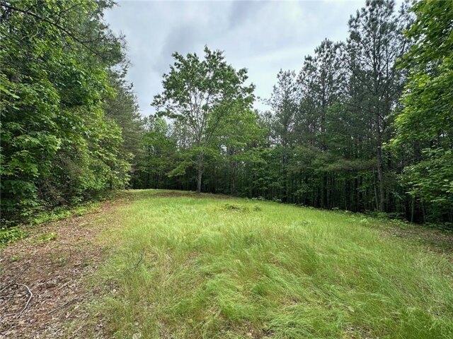 Land for sale in Dahlonega