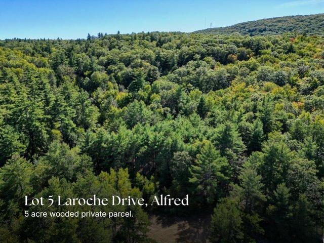 Land for sale in Alfred, York County