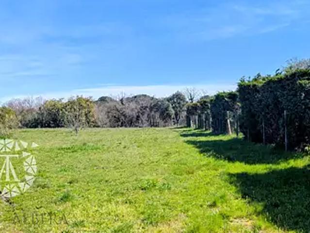 Terrain vente à Céret, Laroque-des-albères