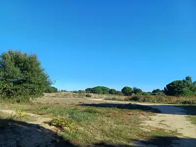 Terrain vente à Céret, Laroque-des-albères