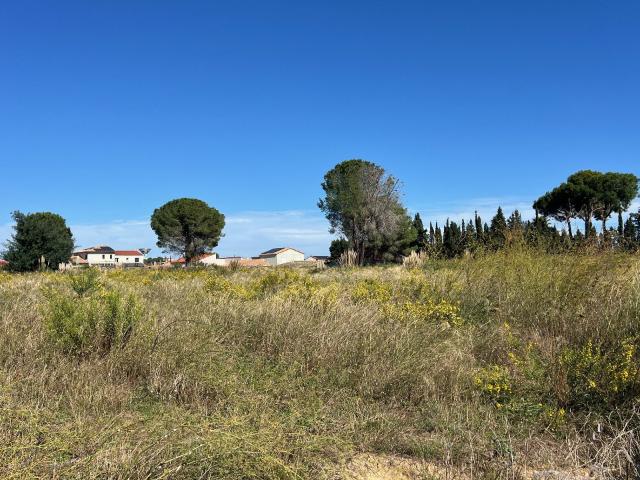 Terrain vente à Céret, Laroque-des-albères
