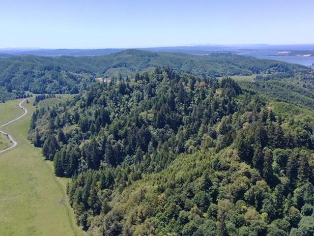 Land for sale in Oregonia