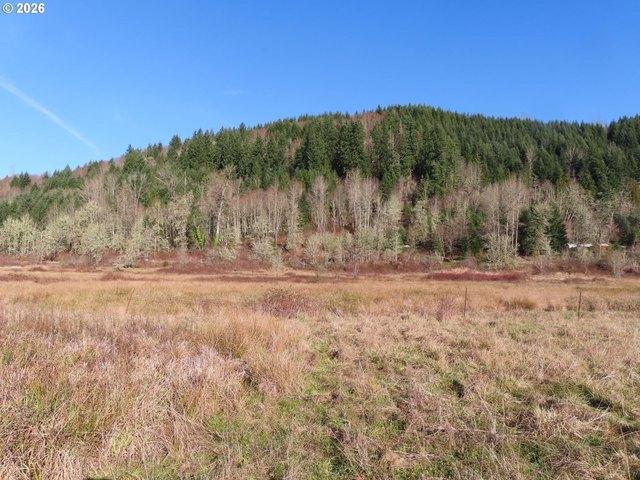Land for sale in Mossyrock, Washington