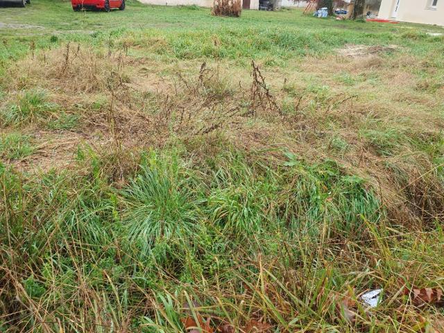 Terrain vente à Blaye, Laruscade