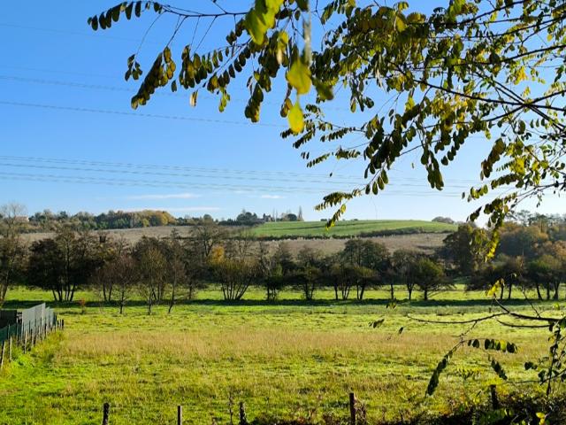 Terrain vente à France métropolitaine, Laruscade