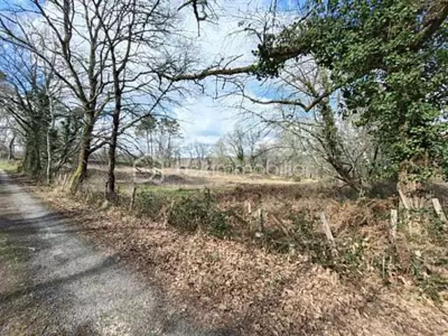 Terrain vente à Sarlat-la-Canéda, Larzac