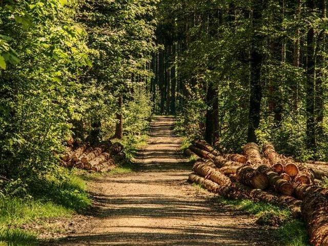 Grunt na sprzedaż w Nowy Sącz, Małopolskie