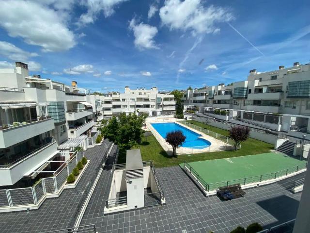 Apartamento en alquiler en Las Rozas De Madrid, Madrid