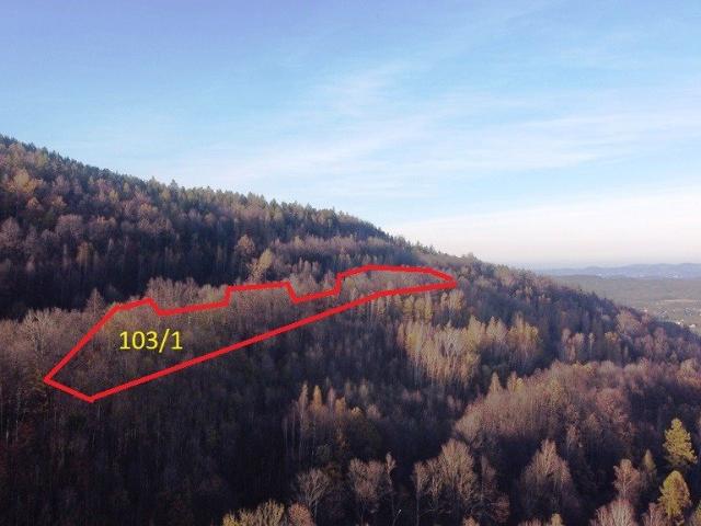 Grunt na sprzedaż w Karpacz, Dolnośląskie