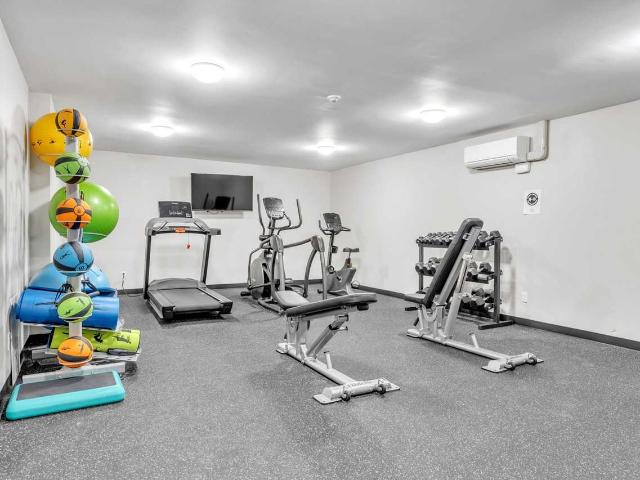 Apartment for rent in Kingston, Ontario
