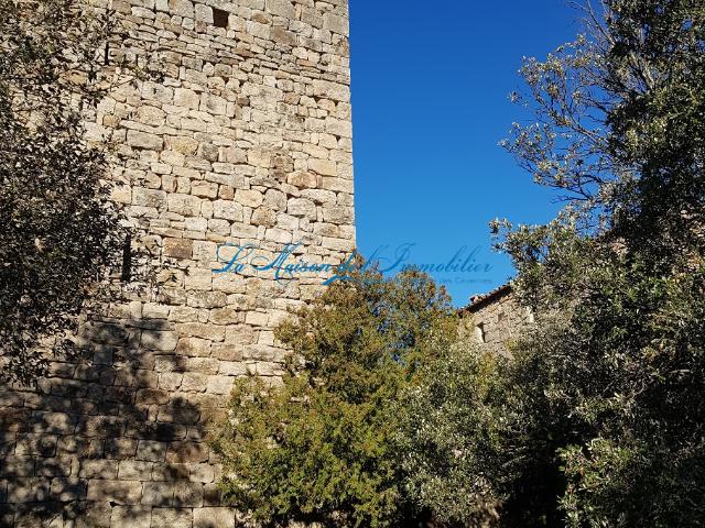 Château vente à Lasalle, Gard