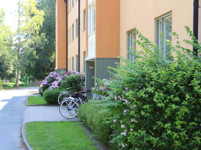 Lägenhet hyra i Vetlanda, Jönköping