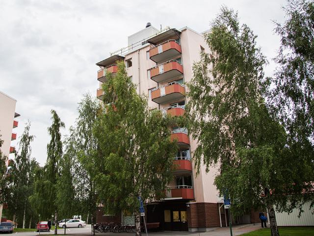 Lägenhet hyra i Piteå, Norrbotten