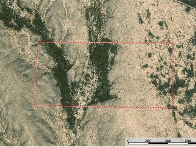 Farm for sale in Sierra Blanca, Texas