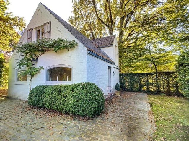 Kot location à Lasne, Wallonie