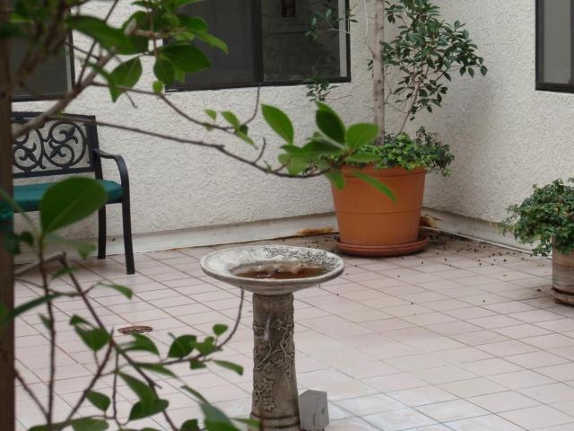 Apartment for rent in Canoga Park, California