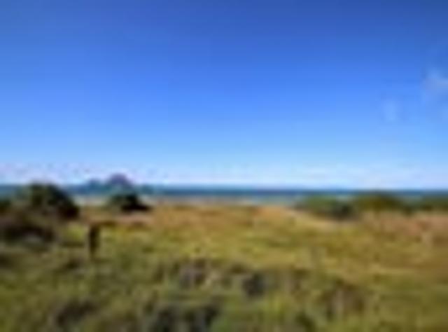 Land for sale in Poroporo, Bay Of Plenty