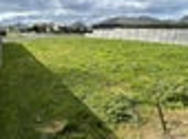 Land for sale in Bay Of Plenty