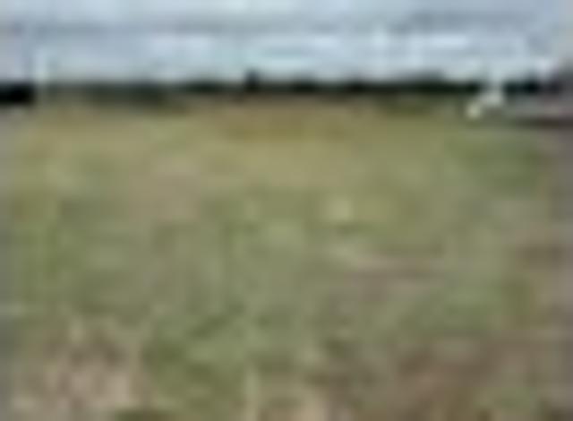 Land for sale in Hastings