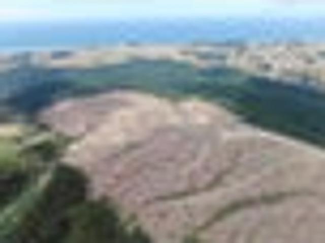Land for sale in Otakou