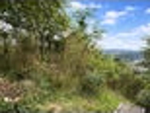 Land for sale in Matata, Wellington