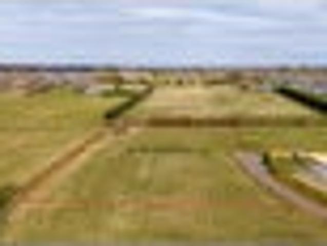 Land for sale in Tinwald, Canterbury