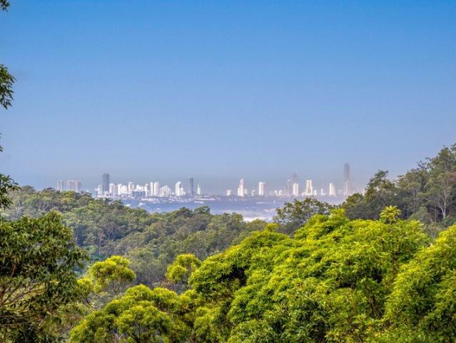 Land for sale in Tamborine Mountain, Queensland