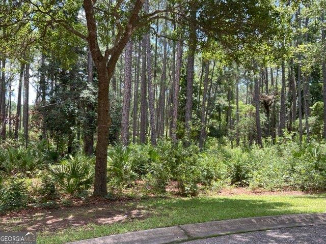 Land for sale in Georgia