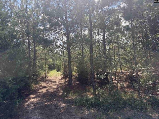Land for sale in Pomaria, Newberry County