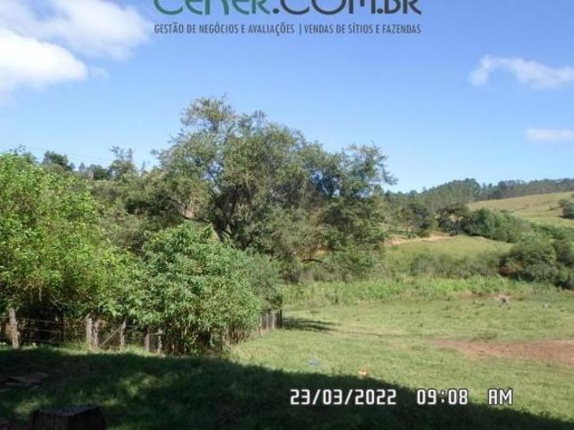 Sítio e chácara venda em Primavera, Congonhas