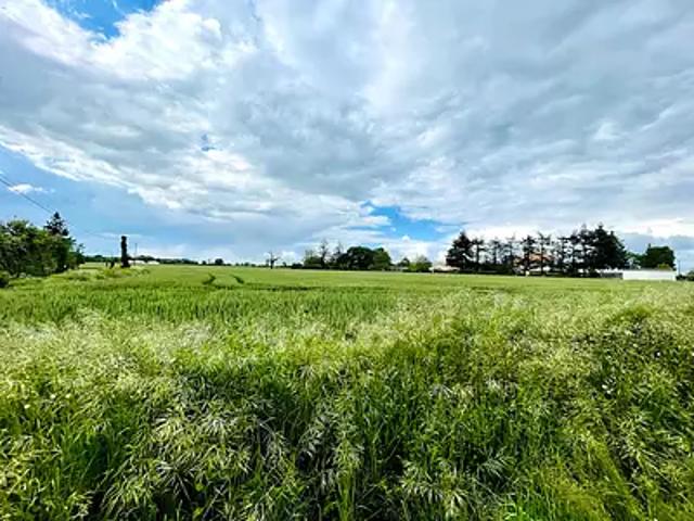 Terrain vente à Latillé, Vienne
