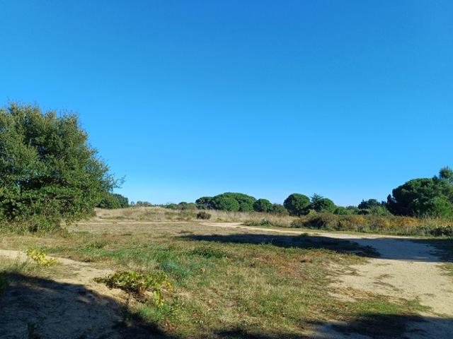 Terrain vente à Céret, Latour-bas-elne