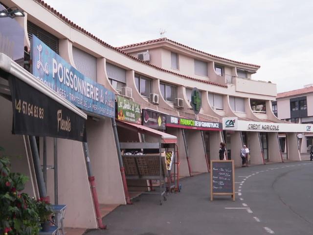 Maison vente à Montpellier, Lattes