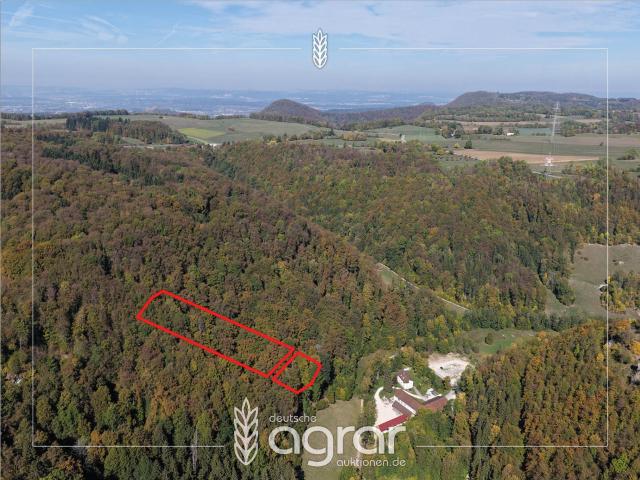 Landwirtschaft kaufen in Wiesensteig, Landkreis Göppingen