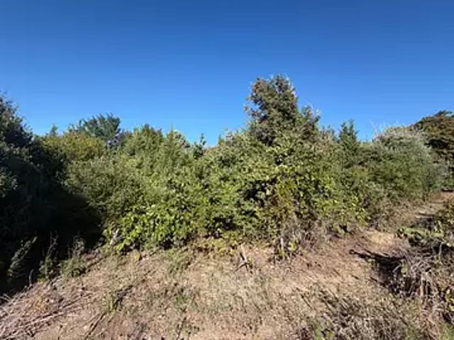 Terrain vente à L'Ardoise, Laudun-l'Ardoise
