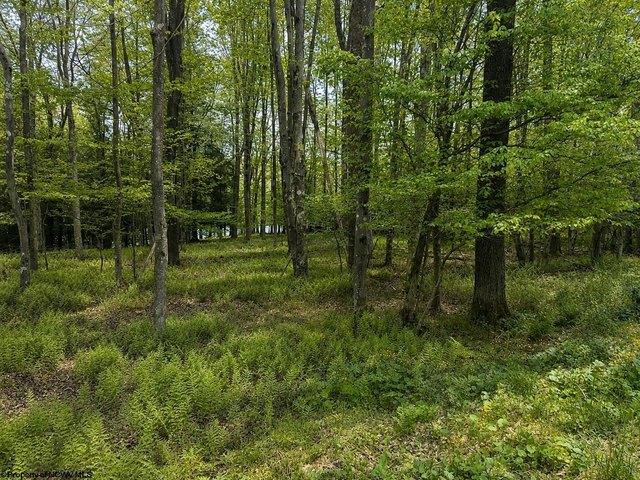 Land for sale in Terra Alta, West Virginia