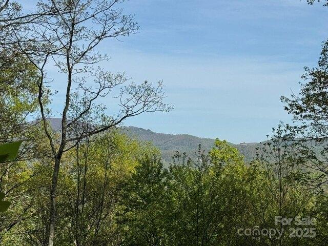 Land for sale in Hendersonville